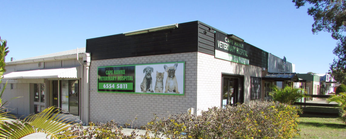 Cape-Hawke-Vet-Hospital-exterior